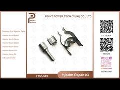 7135-573 Delphi Common Rail Injector Kits voor gemeenschappelijke spoorinjecteurs 28229873, 33800-4A710