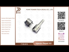 7135-815 Delphi Injector Repair Kit Nozzle-Valve Kit