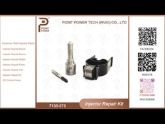 7135-575 Delphi Injector Repair Kit voor 28231462 VW 1.2L Nozzle L363PRD Nozzle-Valve Kit