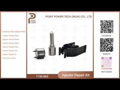7135-663 Delphi Injectorreparatieset Common rail dieselinjectoronderdelen Nozzle-Valve Kit