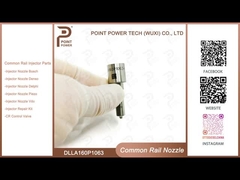 DLLA160P1063 Bosch Common Rail Nozzle voor injectoren 0445110122/080/131 bosch nozzle