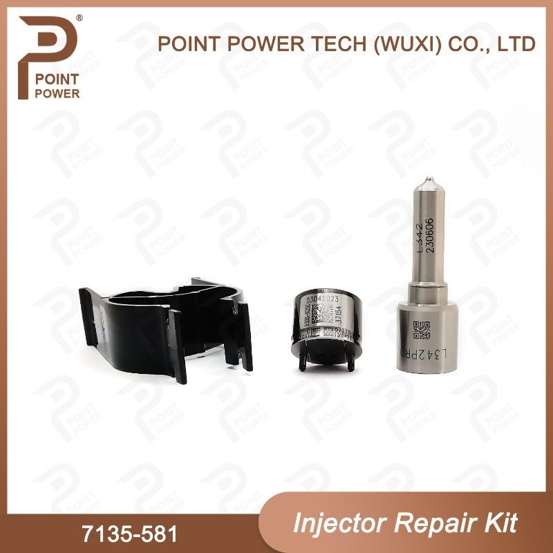 Nozzle-CVA Kit 7135-581 Delphi Injector Repair Kit voor R00101D PSA / FORD DW10C Nozzle-Valve Kit