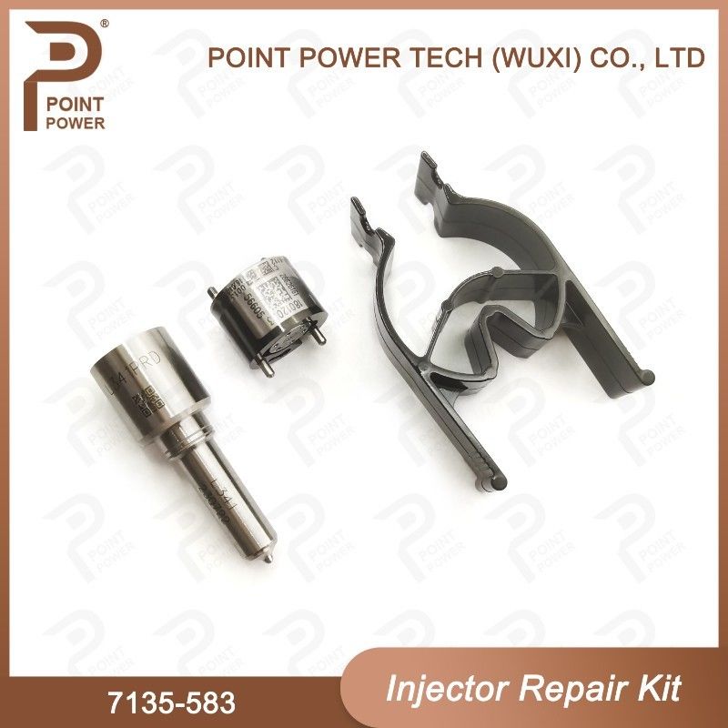 7135-583 Delphi Injector Repair Kit Voor Injectoren R00301D SSANGYONG D20DTF Nozzle-Valve Kit