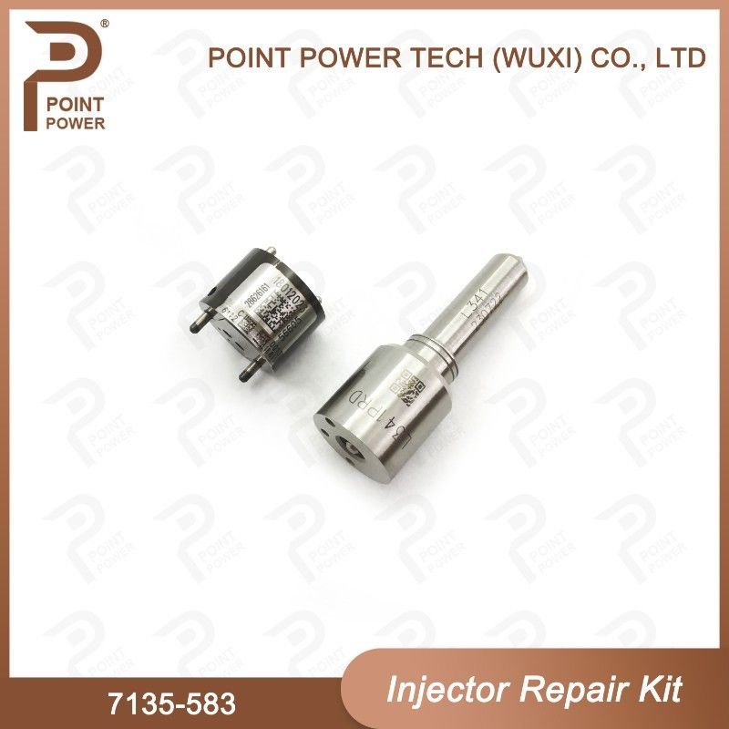 7135-583 Delphi Injector Repair Kit Voor Injectoren R00301D SSANGYONG D20DTF Nozzle-Valve Kit