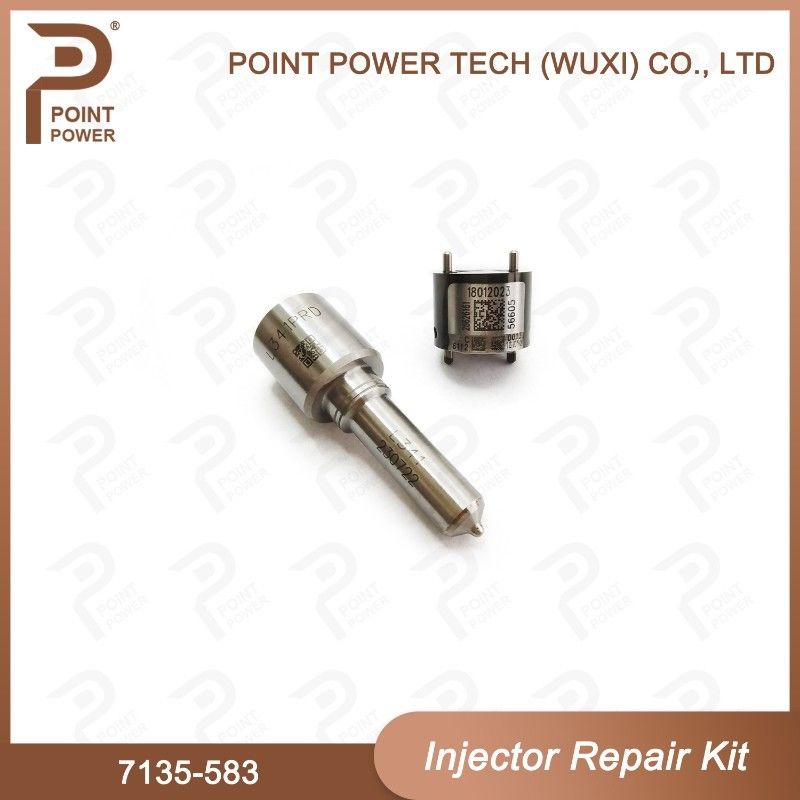 7135-583 Delphi Injector Repair Kit Voor Injectoren R00301D SSANGYONG D20DTF Nozzle-Valve Kit