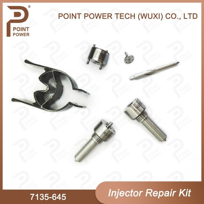 7135-645 Delphi Injector Repair Kit voor injectoren R05201D Nozzle-CVA Kit met Common Rail Nozzle