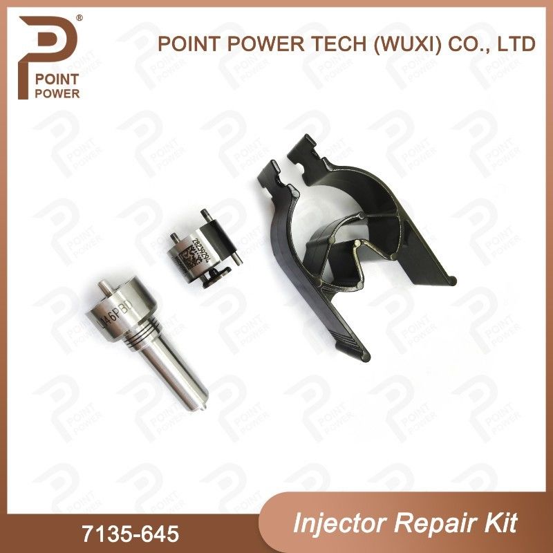 7135-645 Delphi Injector Repair Kit voor injectoren R05201D Nozzle-CVA Kit met Common Rail Nozzle