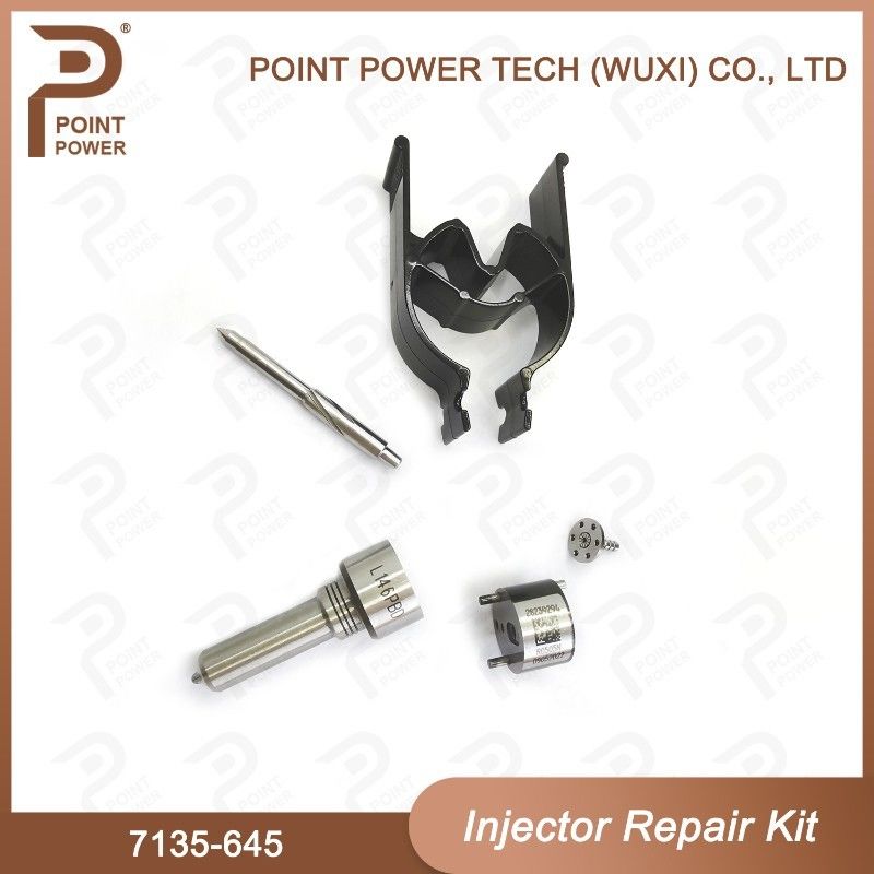 7135-645 Delphi Injector Repair Kit voor injectoren R05201D Nozzle-CVA Kit met Common Rail Nozzle