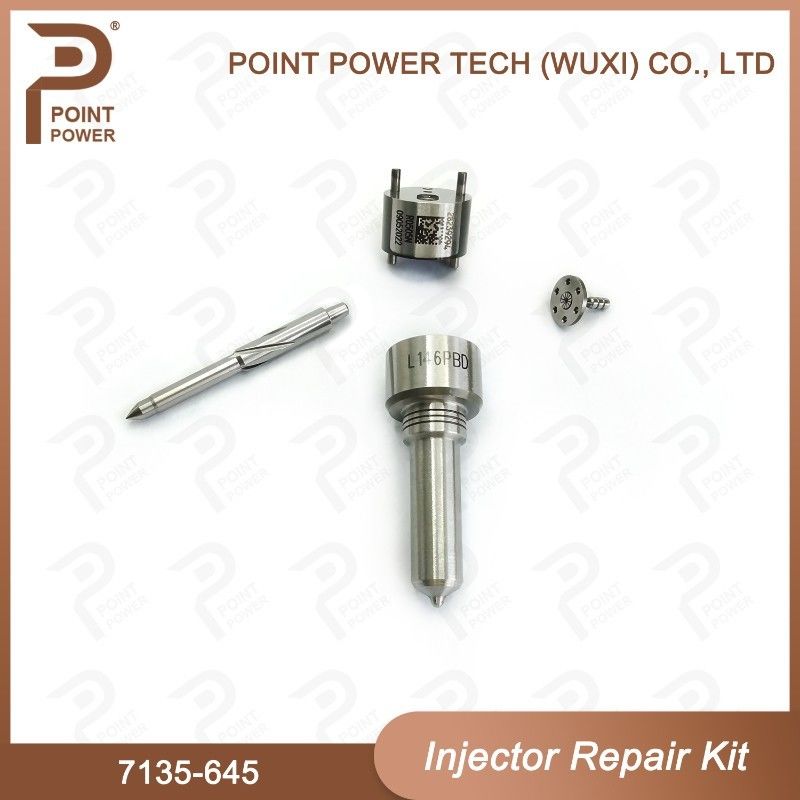 7135-645 Delphi Injector Repair Kit voor injectoren R05201D Nozzle-CVA Kit met Common Rail Nozzle