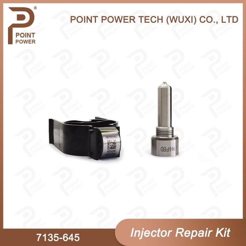 7135-645 Delphi Injector Repair Kit voor injectoren R05201D Nozzle-CVA Kit met Common Rail Nozzle