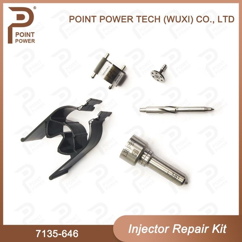 7135-646 Delphi Injector Repair Kit Voor Injector 28232251/ R03101D/R05102D Nozzle-Valve Kit