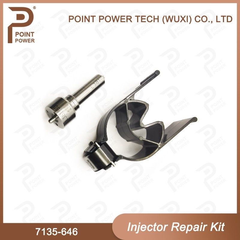 7135-646 Delphi Injector Repair Kit Voor Injector 28232251/ R03101D/R05102D Nozzle-Valve Kit