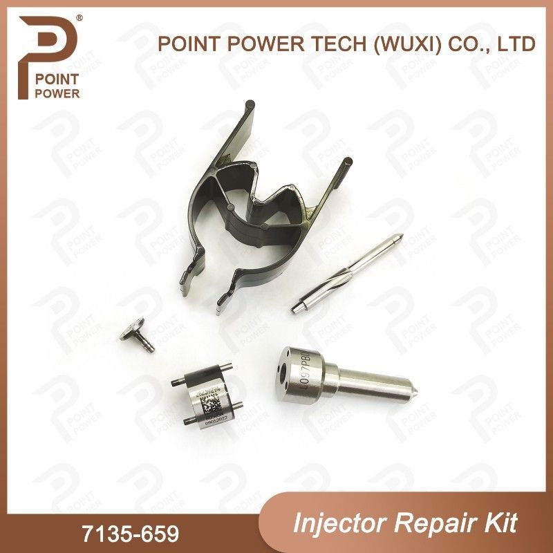 Kit ISO 7135-659 Delphi Injector Repair Kit voor injectoren R02801D Kit voor spuitstuk-klep