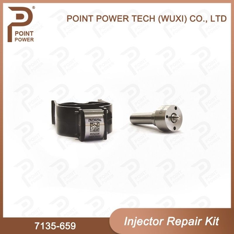 Kit ISO 7135-659 Delphi Injector Repair Kit voor injectoren R02801D Kit voor spuitstuk-klep