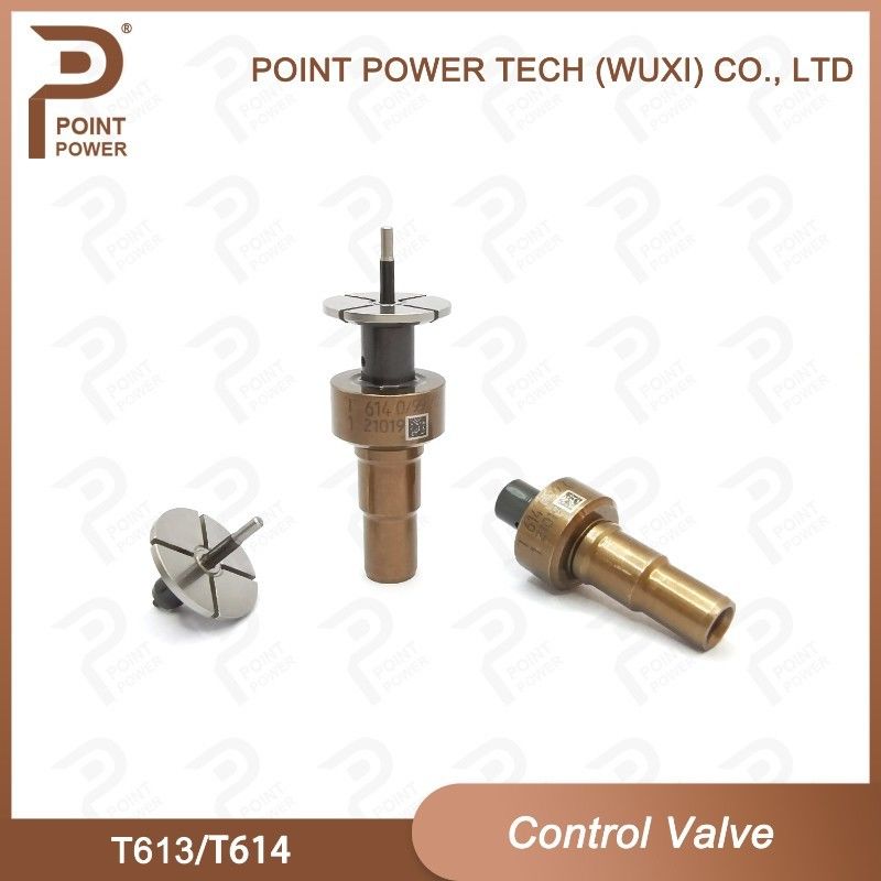 T613/T614 Bosch Common Rail Control Valve voor injectoren