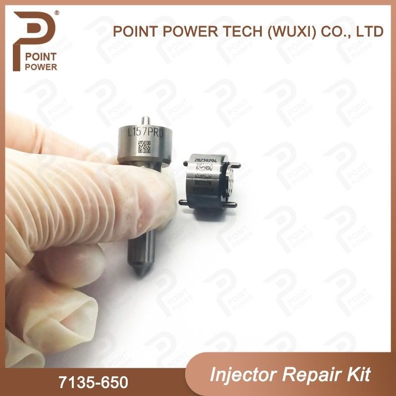 7135 - 650 Delphi Injector Repair Kit Voor Injector R04701D
