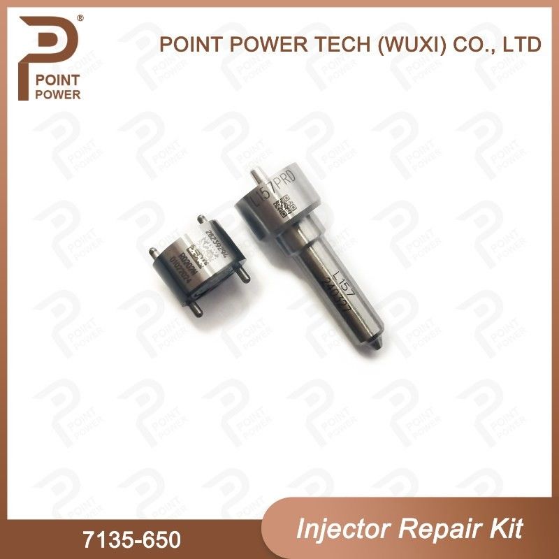 7135 - 650 Delphi Injector Repair Kit Voor Injector R04701D