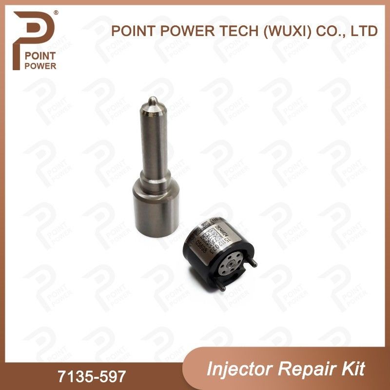 7135-597 Delphi Injectorreparatieset Common rail dieselinjectoronderdelen Nozzle-Valve Kit