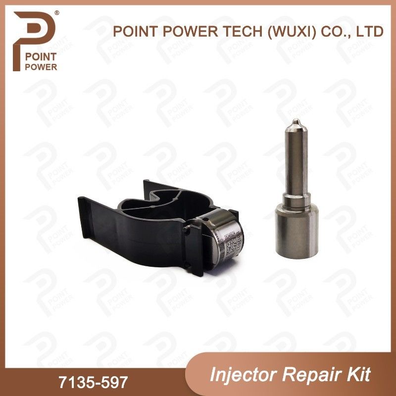 7135-597 Delphi Injectorreparatieset Common rail dieselinjectoronderdelen Nozzle-Valve Kit