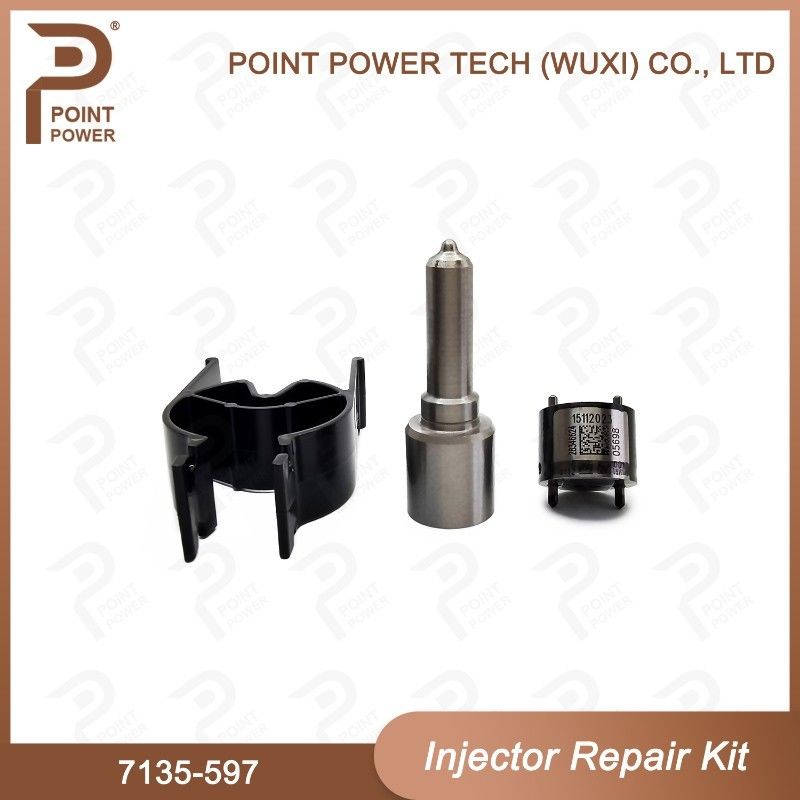 7135-597 Delphi Injectorreparatieset Common rail dieselinjectoronderdelen Nozzle-Valve Kit