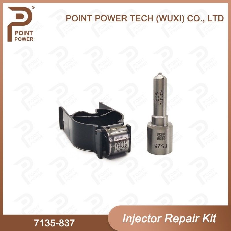 7135-837 Delphi Injector Repair Kit Common Rail Diesel Injector onderdelen