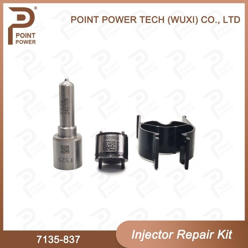 7135-837 Delphi Injector Repair Kit Common Rail Diesel Injector onderdelen