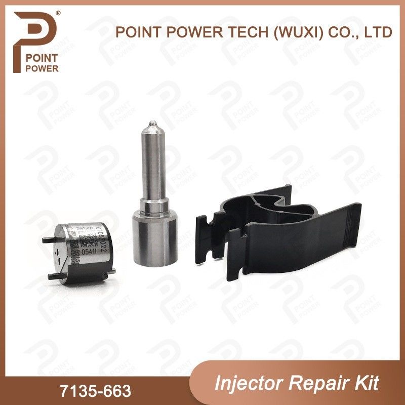7135-663 Delphi Injectorreparatieset Common rail dieselinjectoronderdelen Nozzle-Valve Kit