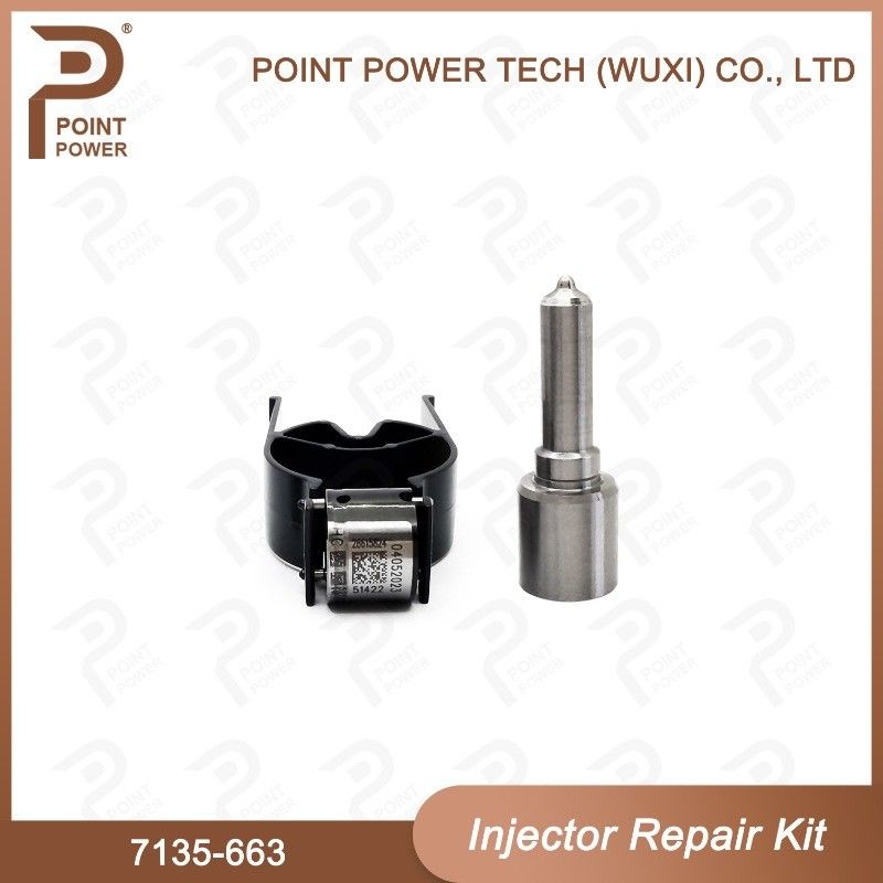 7135-663 Delphi Injectorreparatieset Common rail dieselinjectoronderdelen Nozzle-Valve Kit