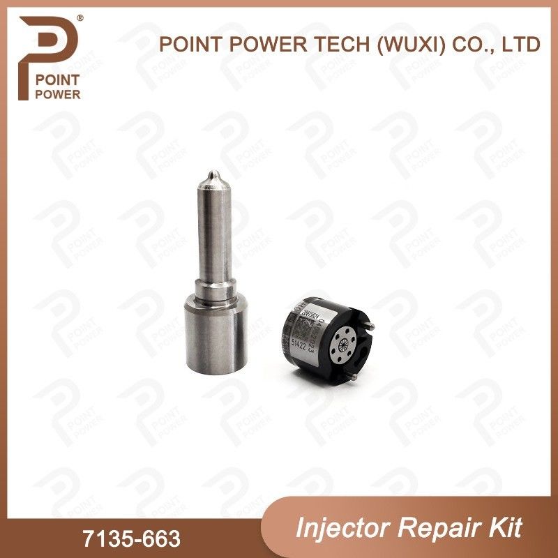 7135-663 Delphi Injectorreparatieset Common rail dieselinjectoronderdelen Nozzle-Valve Kit