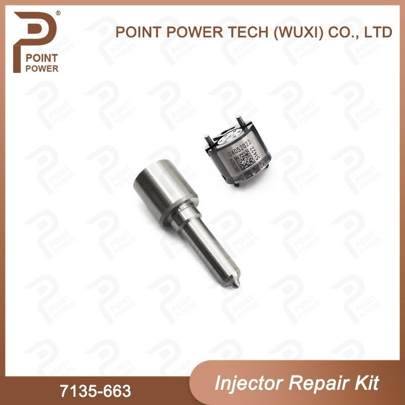 7135-663 Delphi Injectorreparatieset Common rail dieselinjectoronderdelen Nozzle-Valve Kit