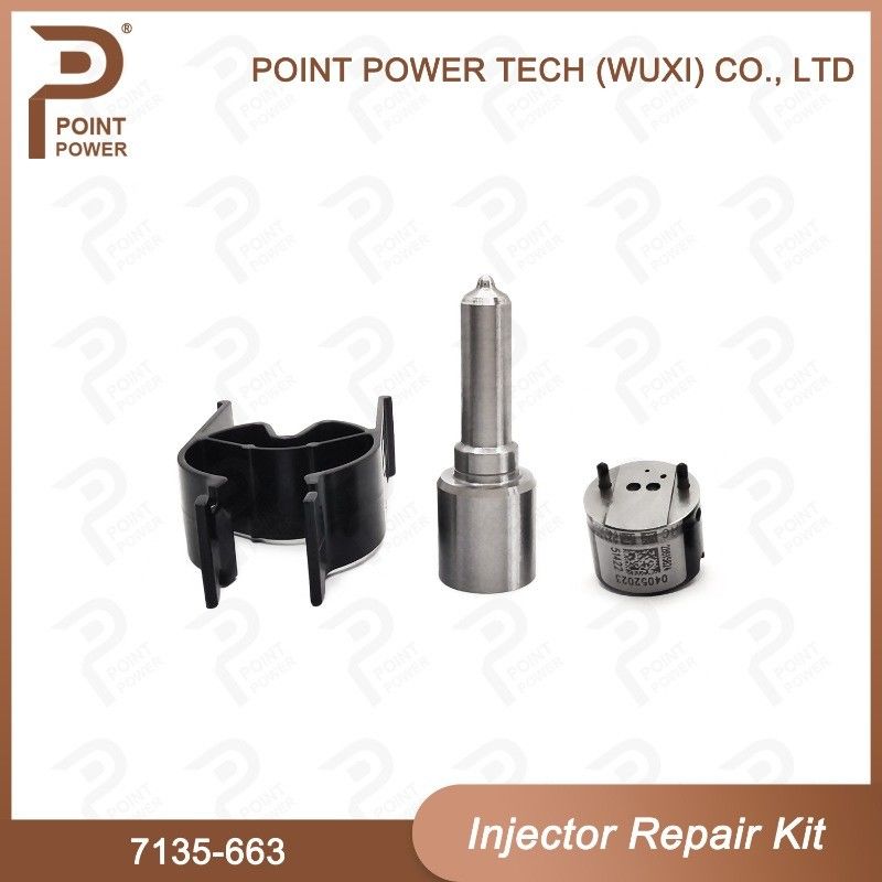 7135-663 Delphi Injectorreparatieset Common rail dieselinjectoronderdelen Nozzle-Valve Kit