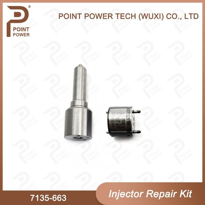 7135-663 Delphi Injectorreparatieset Common rail dieselinjectoronderdelen Nozzle-Valve Kit