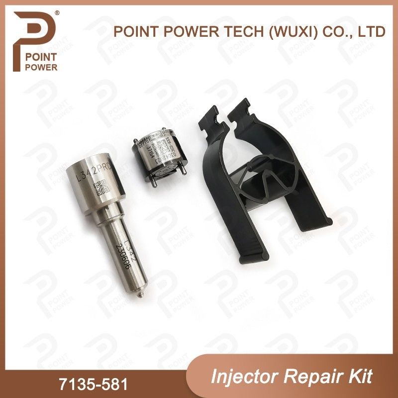 7135-581 Delphi Injector Repair Kit For Injector R00101D Includeert mondstuk H342 En klep 9308-625C Toegepaste PSA DW10C