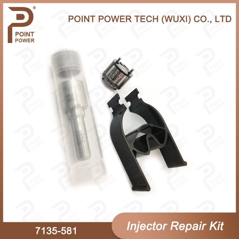 7135-581 Delphi Injector Repair Kit For Injector R00101D Includeert mondstuk H342 En klep 9308-625C Toegepaste PSA DW10C