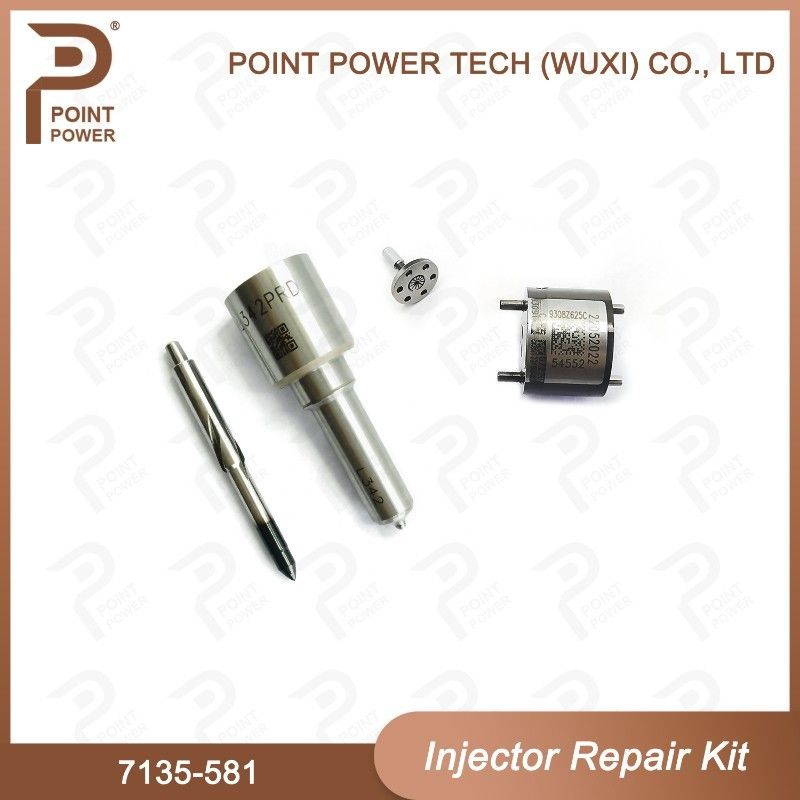 7135-581 Delphi Injector Repair Kit For Injector R00101D Includeert mondstuk H342 En klep 9308-625C Toegepaste PSA DW10C