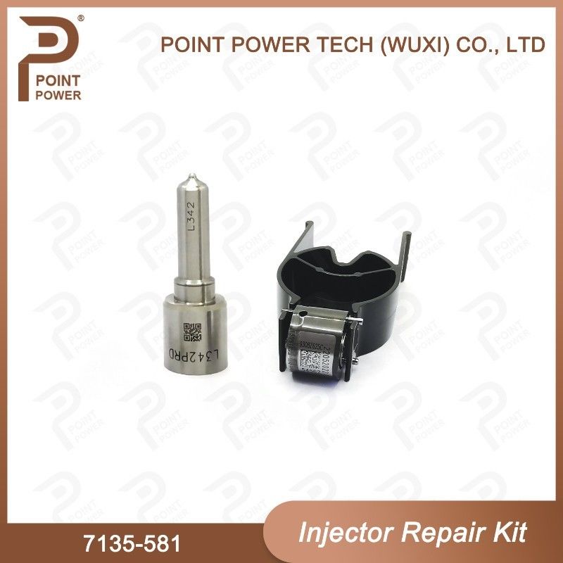 7135-581 Delphi Injector Repair Kit For Injector R00101D Includeert mondstuk H342 En klep 9308-625C Toegepaste PSA DW10C