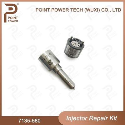 7135-580 Delphi Injector Repair Kit omvat klep#28626162 en mondstuk#E347/H347